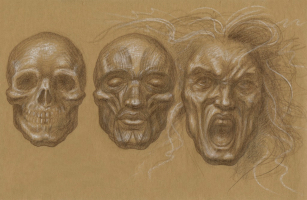 Anatomical Study, Head Studies 1